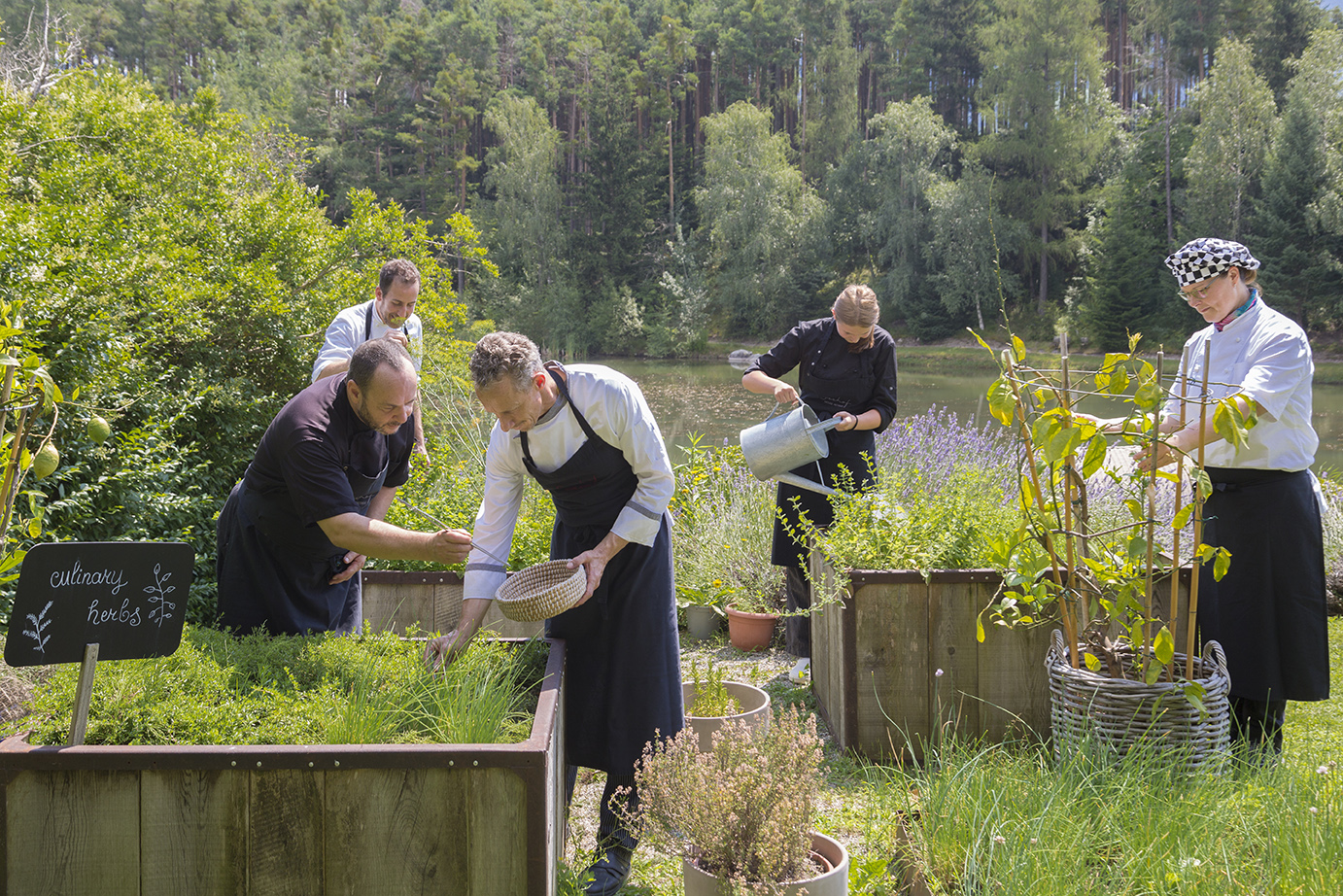 sapori-dautunno-al-seehof-nature-retreat