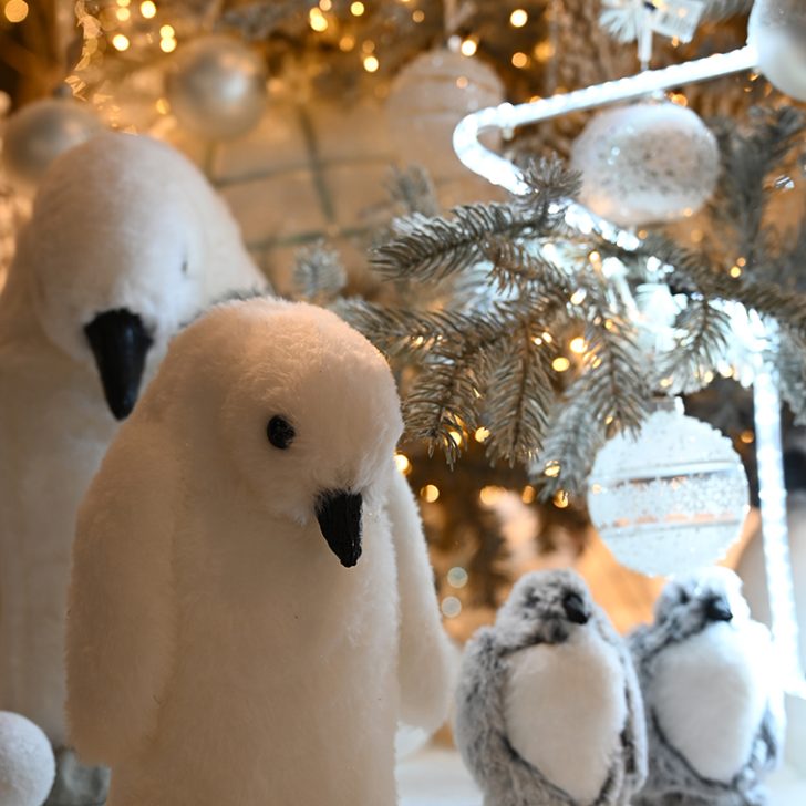 Linea_Verde_Xmas-Limited-Edition-Dicembre-21