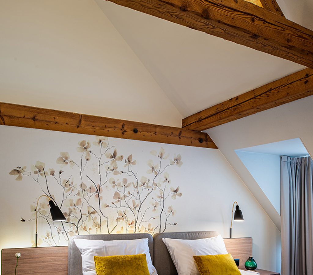 Hotel-Astra-Vevey-Ceriani-Suite Hotel-Astra-Vevey-Ceriani-Suite